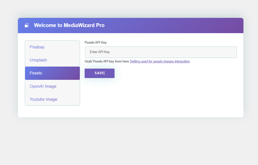  Pexels API Key setup screen