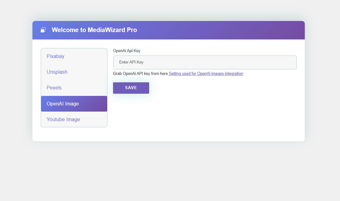 OpenAI API Key  setup screen